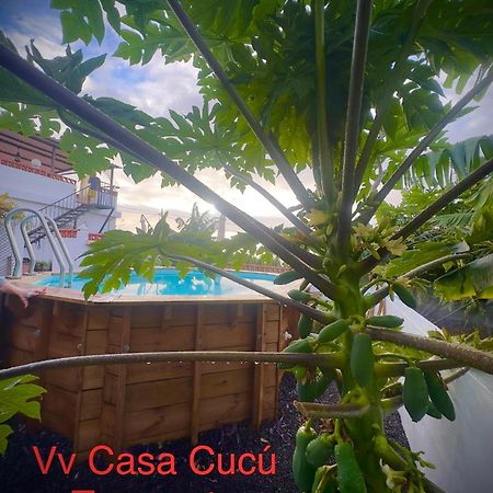 فيلا Casa Cucu تازاكورتي المظهر الخارجي الصورة