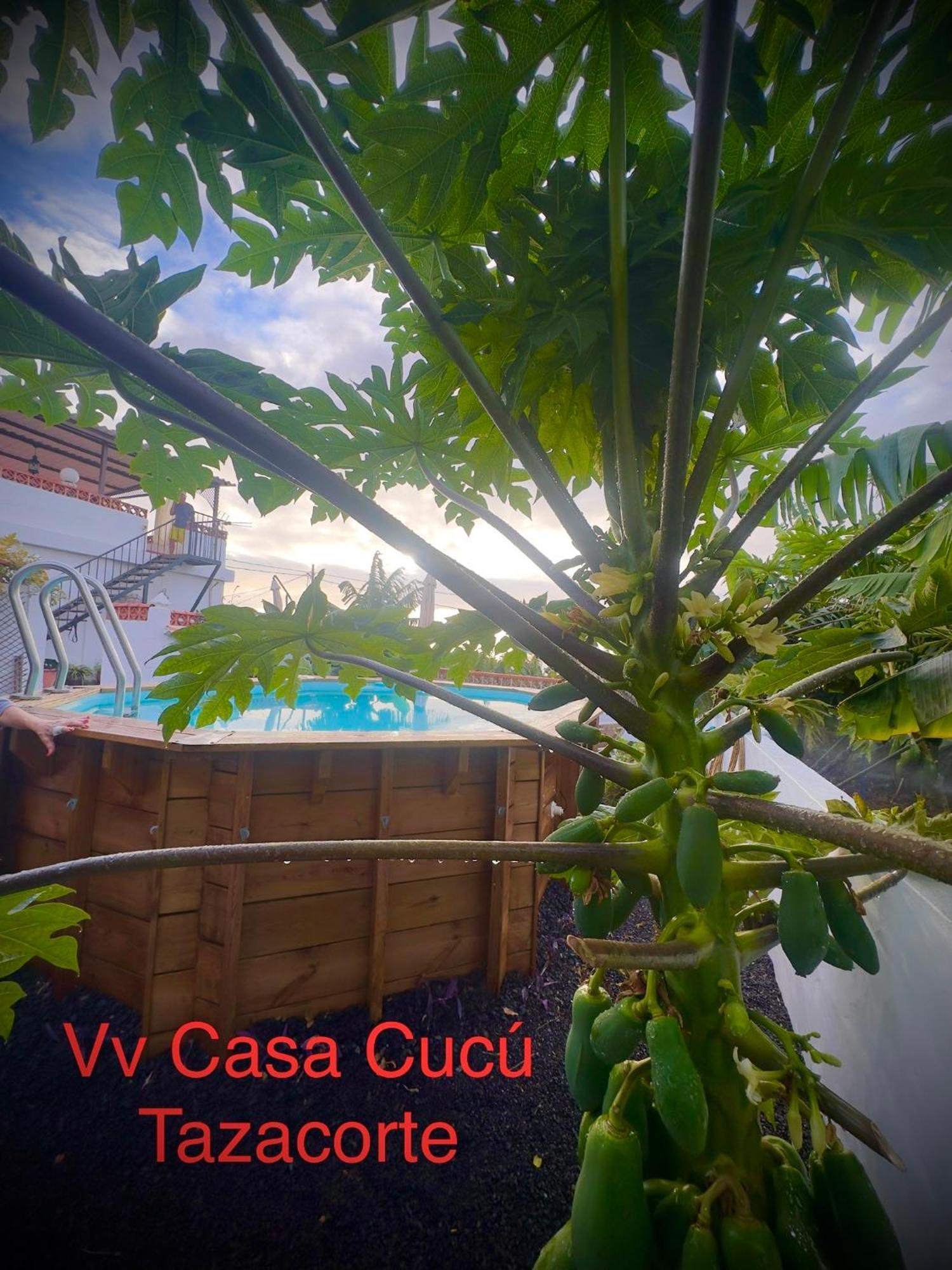 فيلا Casa Cucu تازاكورتي المظهر الخارجي الصورة